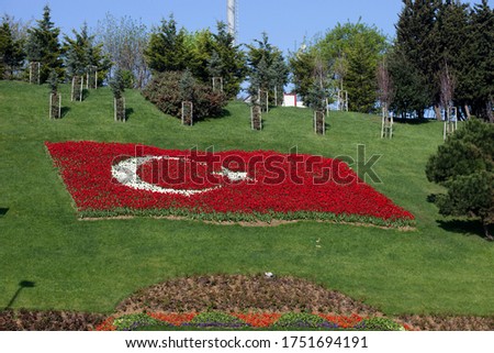 Turkish flag made with red and white tulips flowers. Turkey - Middle East, symbols, parks and landscape concepts. Horizontal.