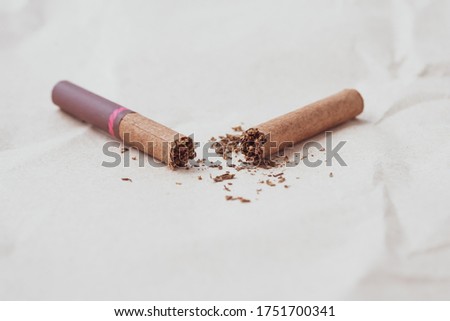 Broken dark cigar on a neutral paper background. Healthy lifestyle concept. A crushed cigarette and scattered tobacco. Copy, text space. Bad habit, nicotine addiction. World no tobacco day.