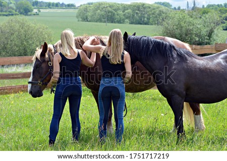 Two blond women with a brown horse
