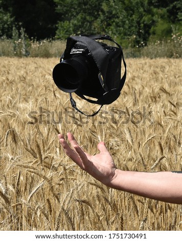 a photo camera in a field of golden spikes