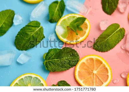 Composition with cut citrus fruits on color background. Creative summer background composition with lemon slices, leaves mint and ice cubes. Minimal top down lemonade drink concept.Top view