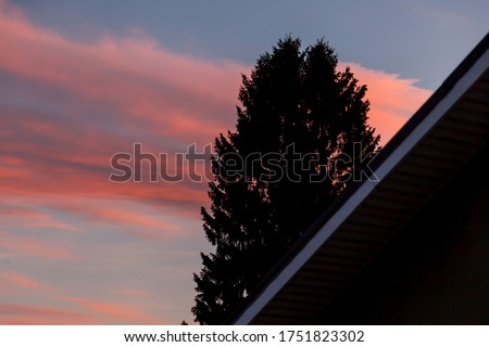 Roof house and top tree against background sunset evening blue sky with textural clouds. Modern roof with attic window. Bottom view, author's space. Large background space for an inscription or logo