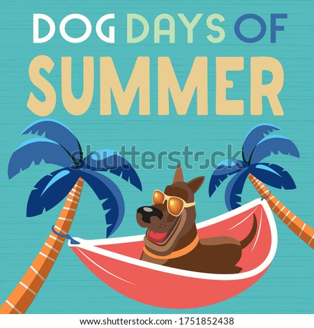 Dog days of Summer Time for adventure. Cute comic cartoon. Colorful humor retro style. Canine in sunglasses enjoy beach leisure relax. Summertime vacation journey. Vector banner background template