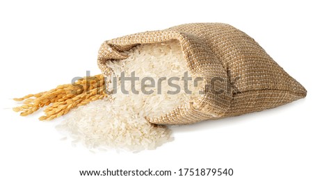 long rice in burlap sack with ears isolated on white background Royalty-Free Stock Photo #1751879540