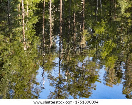 Reflections of Tall Trees and Blue Sky in a Wilderness Lake in the Boundary Waters Canoe Area Wilderness, Minnesota. Royalty-Free Stock Photo #1751890094