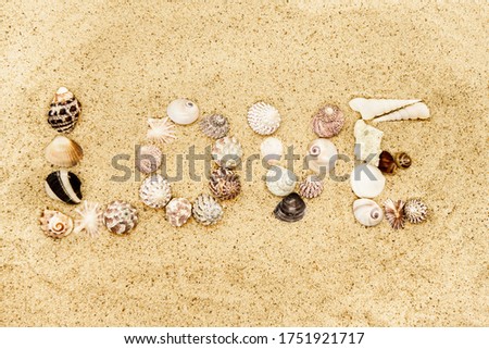 The word 'Love' made of  sea shells on the sand background