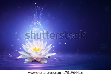 Magic Lotus Flower With Fairy Light - Miracle and Mystery Concept Royalty-Free Stock Photo #1751964416