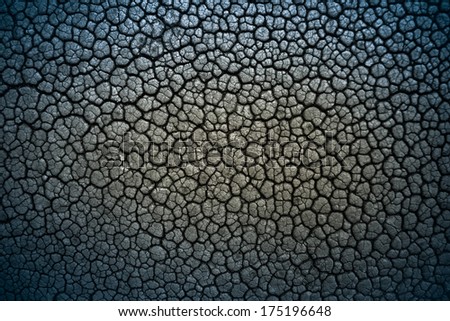 leather texture / skin texture