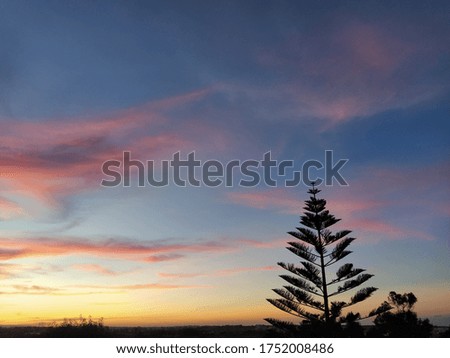 Sunset Sky Landscape with Tree Silhouette - Idyllic, Unspoiled, Tranquil, Peaceful Nature Wallpaper.