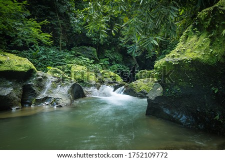 Tropical landscape. River in jungle. Water flow. Green plants. Soft focus. Slow shutter speed, motion photography. Nature background. Environment concept. Horizontal layout. Bangli, Bali Indonesia