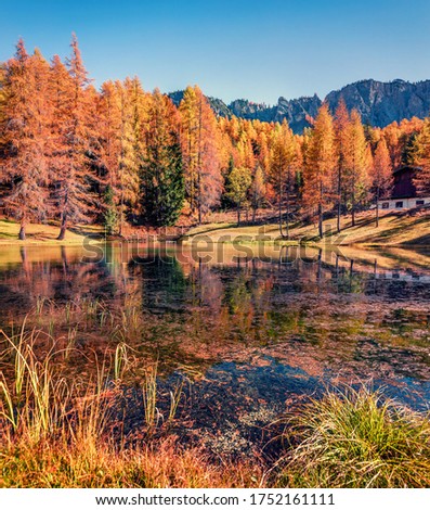 Captivating autumn view of Scin lake with orange larch trees. Exciting morning scene of Dolomite Alps, Cortina d'Ampezzo location, Italy, Europe. Traveling concept background.