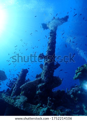 FM1 Bi Plane dive site in Rabaul . Plane wreck diving in Papua New Guinea  Royalty-Free Stock Photo #1752214106
