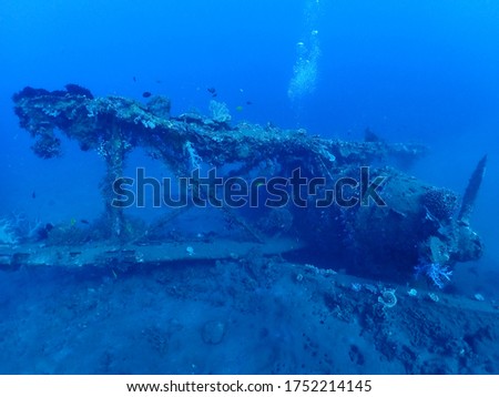 FM1 Bi Plane dive site in Rabaul . Plane wreck diving in Papua New Guinea  Royalty-Free Stock Photo #1752214145