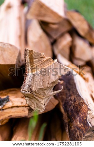Firewood. Firewood close-up.A pile of firewoods on grass. Natural wooden background.