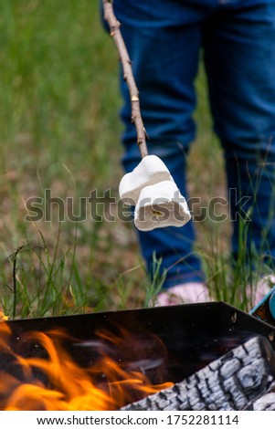 A child fries marshmallows on a fire.Fried marshmallows close-up.