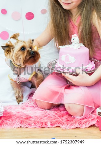 Yorkshire Terrier looks at a pink cake with a white dog figurine at a dog's birthday celebration.