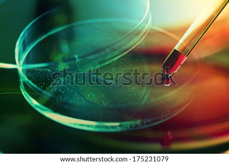 Petri dish. Laboratory concept.