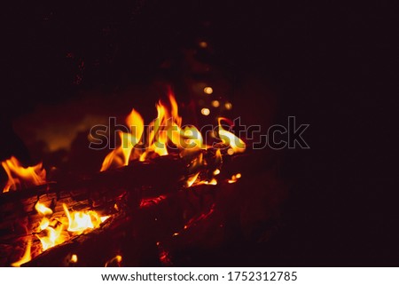 Flames of fire and embers in the fireplace