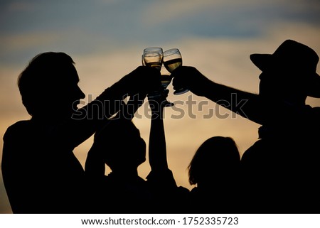 Seniors toast themselves with sparkling wine in the evening before a sunset
