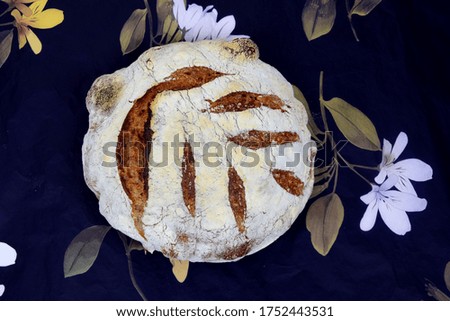 Home baked sourdough loaf on dark background