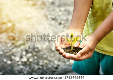 Plant growing on soil with hand holding over sun and sunlight ray . the concept of a new life after a pandemic. HD Image and Large Resolution. can be used as wallpaper and background.
