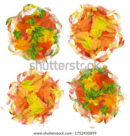 Autumn leaves decorative elements. Colorful clip art on white background