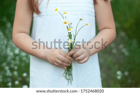 girl in a white dress with daisies on a background of daisies. summer vacation. recreation. camomile field. Camomile background copy space