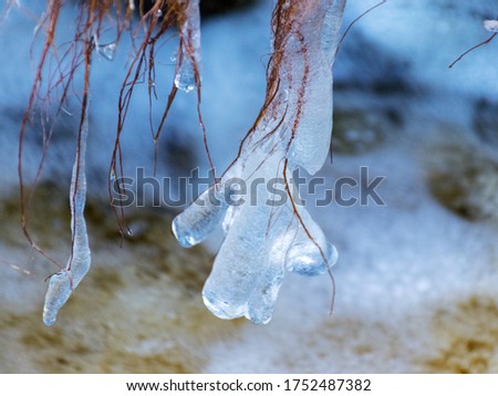 abstract picture with ice cubes embracing grass and tree roots, beautiful texture, suitable for background