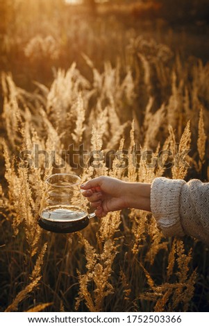 Alternative coffee brewing outdoors in travel. Traveler holding fresh hot coffee in glass flask on background of sunny warm light in rural herbs. Atmospheric rustic tranquil moment.