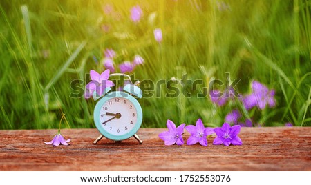 The concept of daylight saving time. Web banner of alarm clock and lilac meadow flowers in the grass