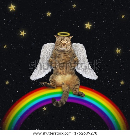 The beige cat angel with wings and a halo above his head is sitting on the rainbow. Stars night background.