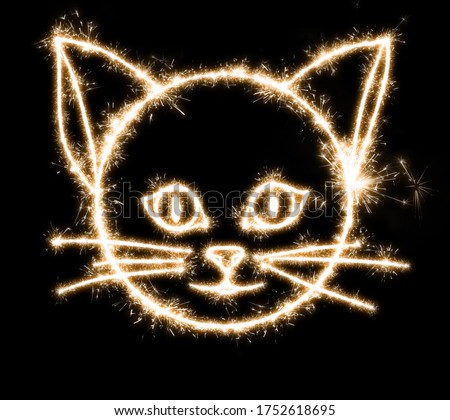 The muzzle of a kitten on a black background is drawn with sparklers, an imitation of a long exposure.