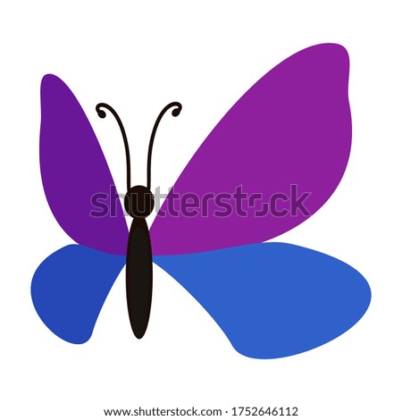 
illustration of a butterfly in a flat style. butterfly theme.