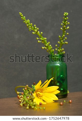 Flower photography with jar .This kind of picture know as still life photography 