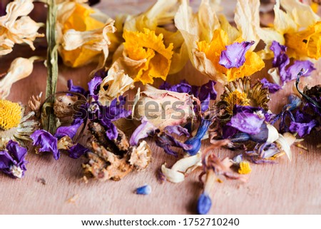 Dry flowers, plants and fruit macro and still life, colorful nature background. Dry things in the beautiful picture.