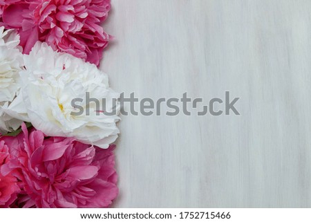 Frame of white and pink peony flowers on a white wooden background close up with an empty space for text