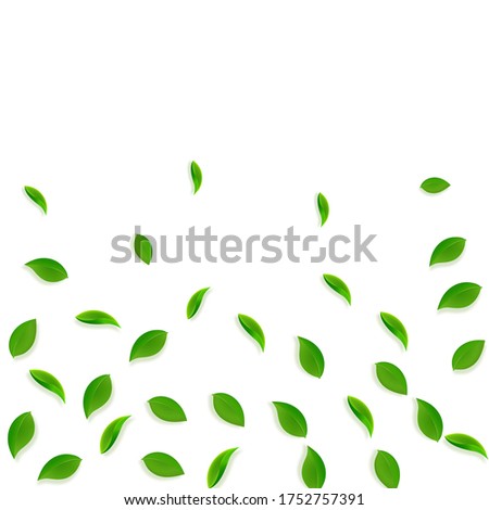 Falling green leaves. Fresh tea random leaves flying. Spring foliage dancing on white background. Adorable summer overlay template. Curious spring sale vector illustration.
