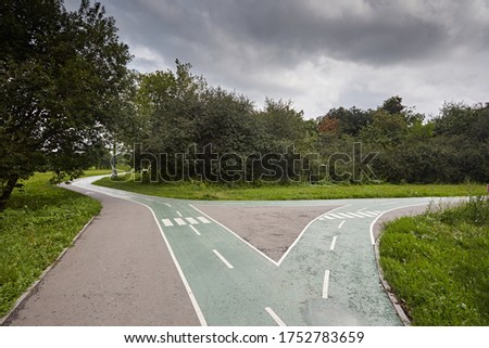 Bicycle path green in the park on the background of grass and cloudy sky. Crossroad with pedestrian road