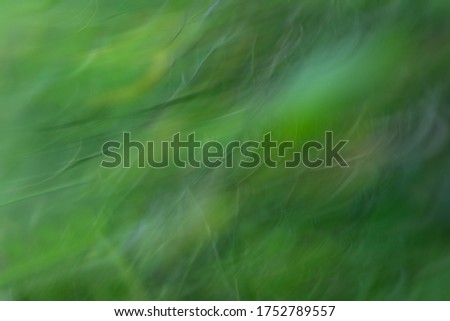 Abstract green blurred background. Ecology green background