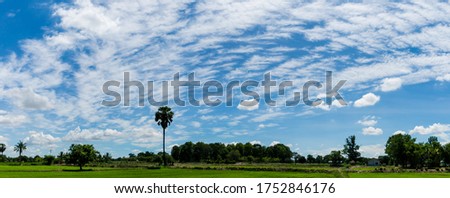 Panorama image, Blue sky and wispy white clouds on a sunny day over the fields.