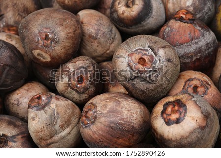 Pic of Dry Coconut from Kerala