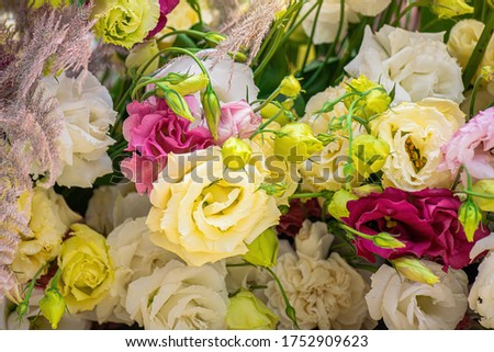 Bright beautiful multi-color floral arrangement of Eustoma flowers close-up.