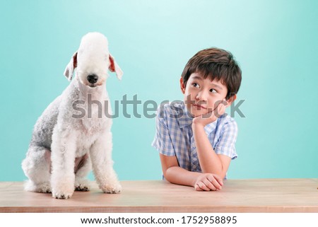 The little boy and the dog