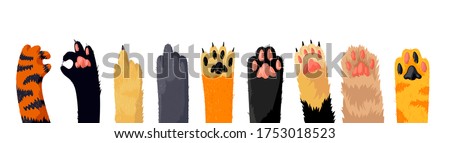 Cat Paws Row, Collection of Various Cute Kitten Legs, Domestic Animal Foot Isolated on White Background. Different Funny Pet Paws with Claws, Graphic Design Elements. Cartoon Vector Illustration, Set