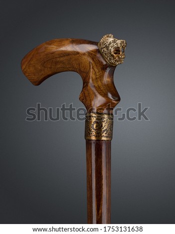 Walking stick and crutches with a handle in the form of lion.