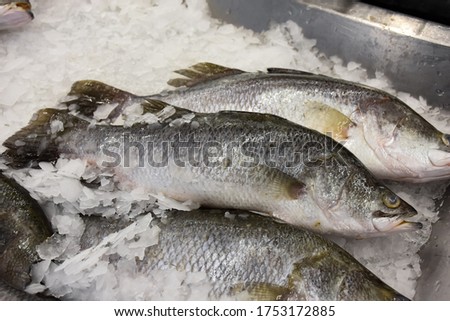 Fresh food, many fish placed on ice, available for sale in supermarkets


