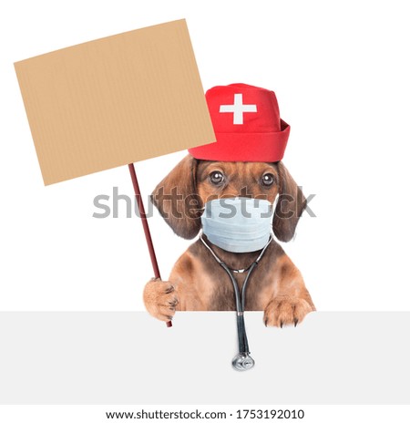 Dachshund puppy dressed like a doctor with medical protective mask, stethoscope and hat holds blank banner mock up on wood stick and looks above empty banner. Isolated on white background
