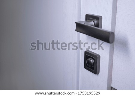 Door handle in the interior. Knob close-up elements. light wooden doors in in modern style in the interior. High quality photo