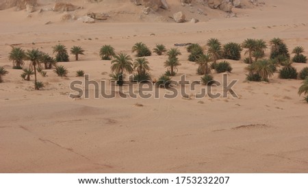 Pictures of Algerian oases and desert