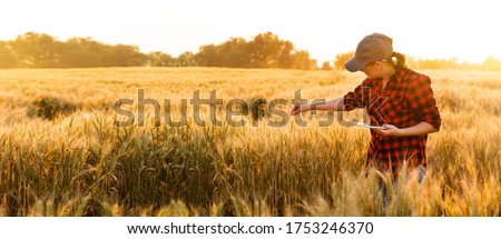 A woman farmer examines the field of cereals and sends data to the cloud from the tablet. Smart farming and digital agriculture. Royalty-Free Stock Photo #1753246370